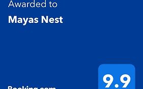 Mayas Nest